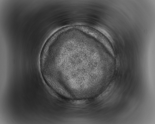 X0000094821047200712071242