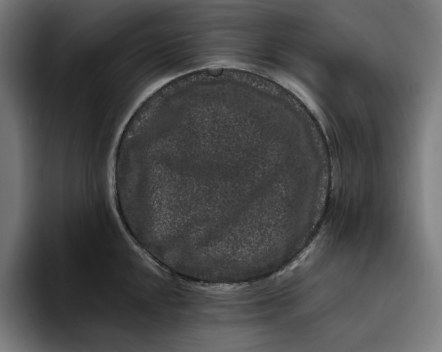 X0000094821048200712071242