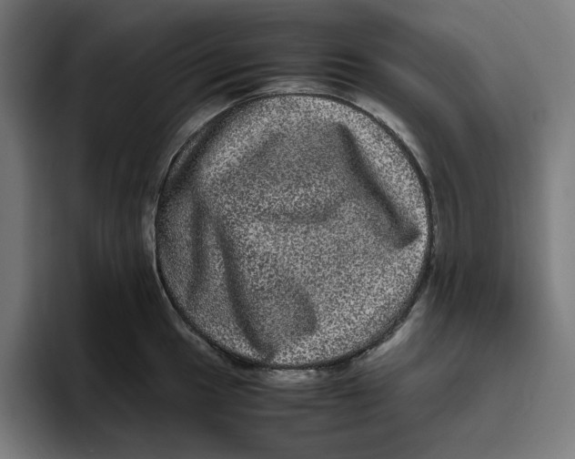 X0000094821049200712071242