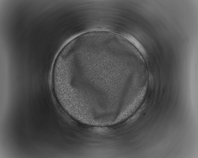 X0000094821052200712071242