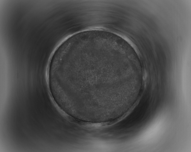 X0000094821054200712071242