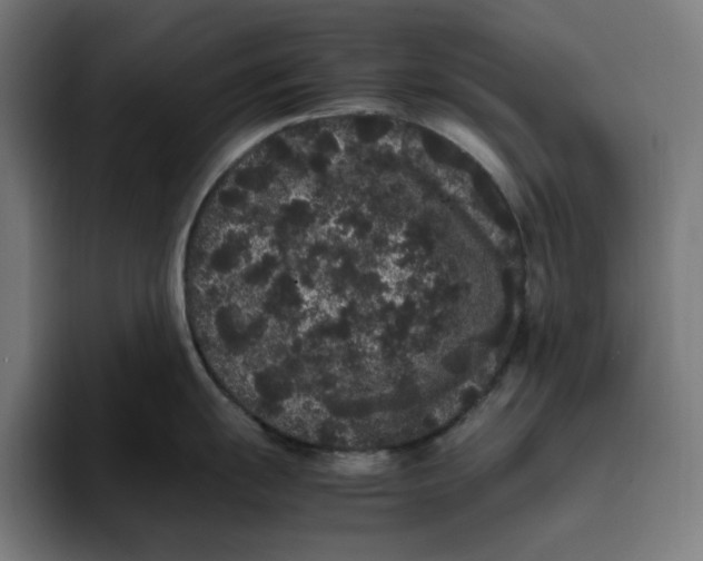 X0000094821055200712071242