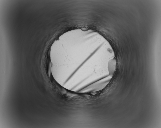 X0000094821057200712071241