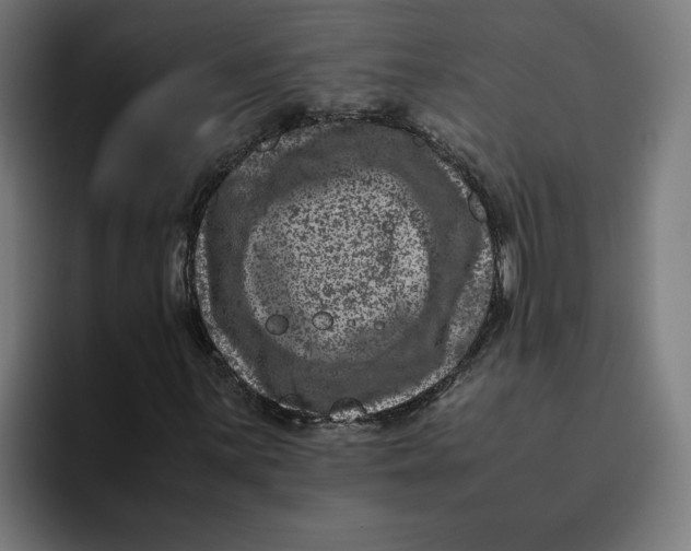 X0000094821059200712071241