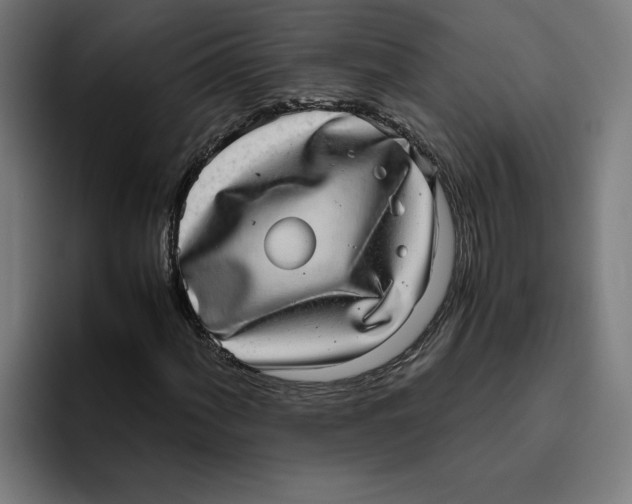 X0000094821060200712071241