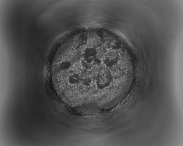 X0000094821063200712071241