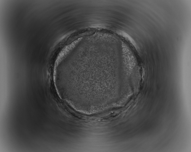 X0000094821064200712071241