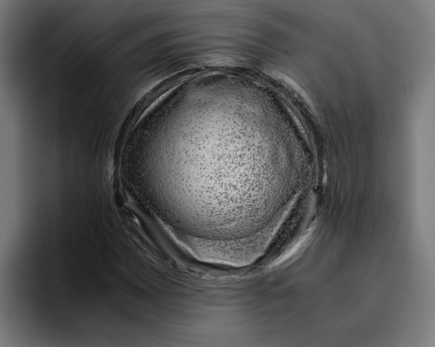 X0000094821065200712071241