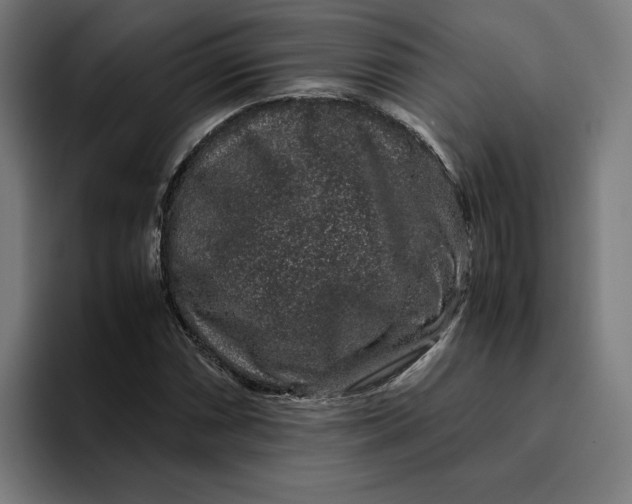 X0000094821066200712071241