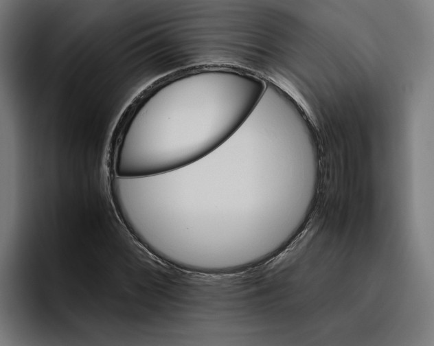 X0000094821068200712071241