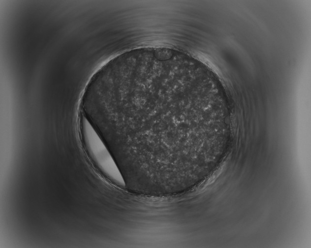 X0000094821071200712071241