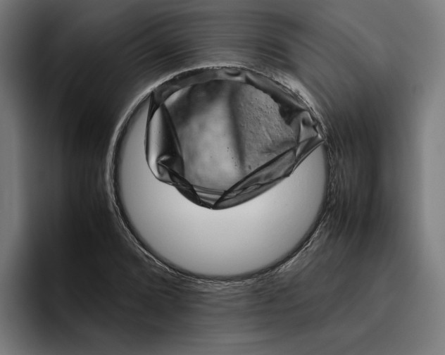 X0000094821072200712071241