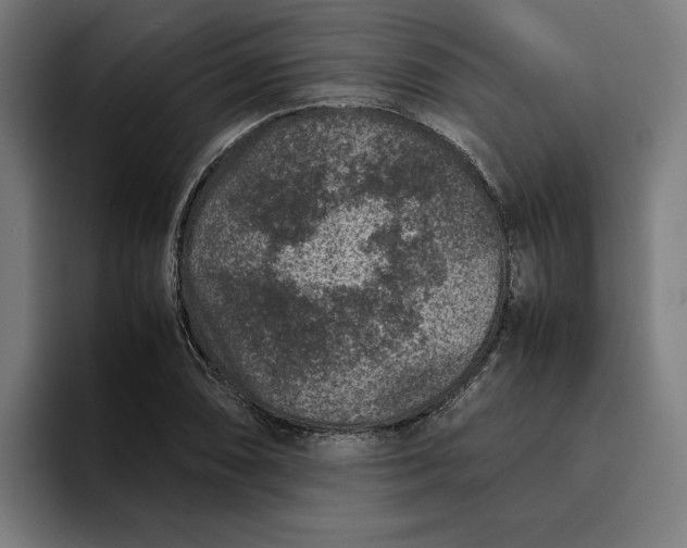 X0000094821074200712071241