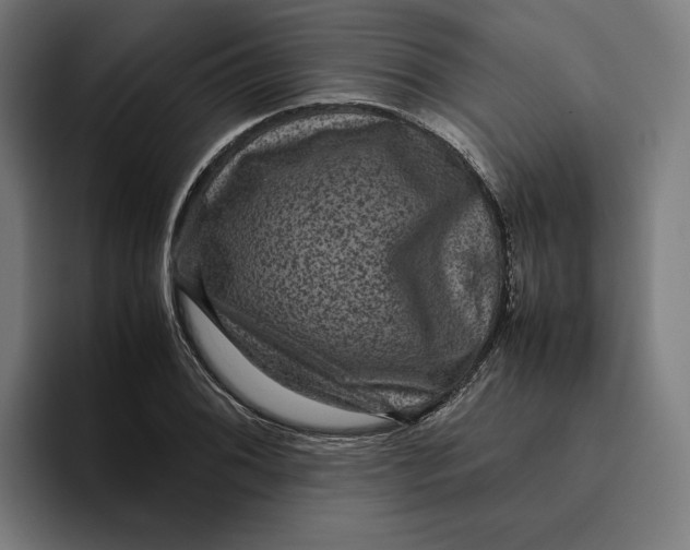 X0000094821076200712071241