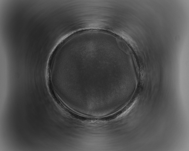 X0000094821077200712071241