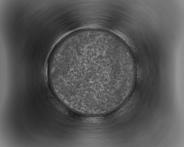 X0000094821078200712071241