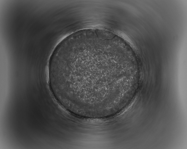 X0000094821079200712071241