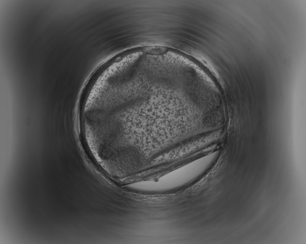 X0000094821080200712071241