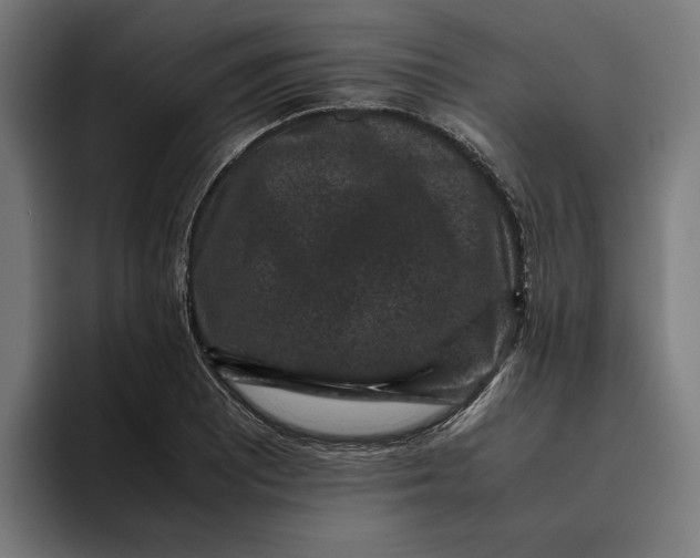 X0000094821081200712071241