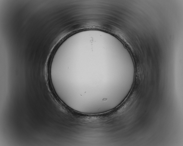 X0000094821082200712071241