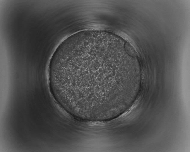 X0000094821083200712071241