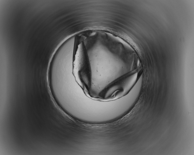 X0000094821084200712071241