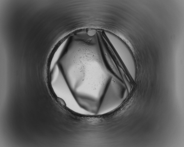 X0000094821085200712071241