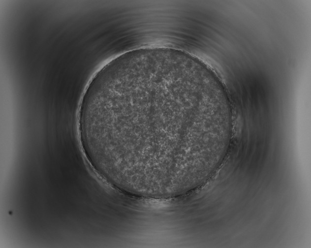 X0000094821086200712071241