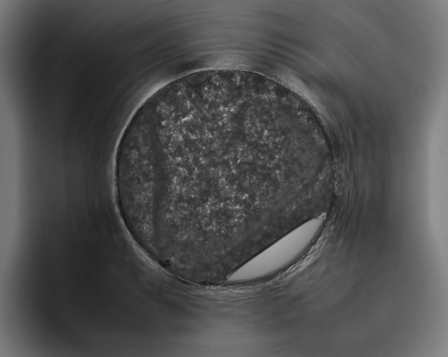 X0000094821087200712071241