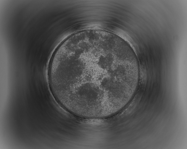 X0000094821090200712071241