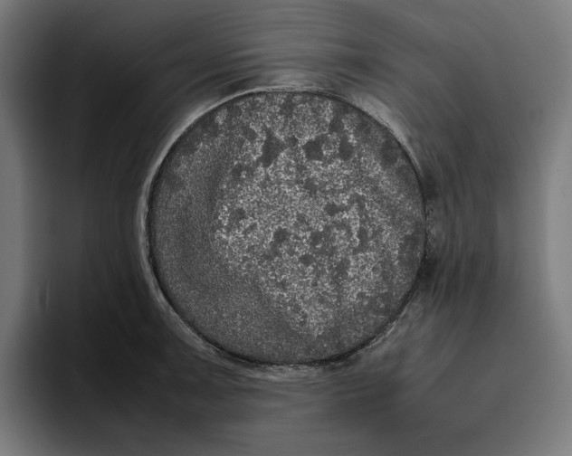 X0000094821091200712071241