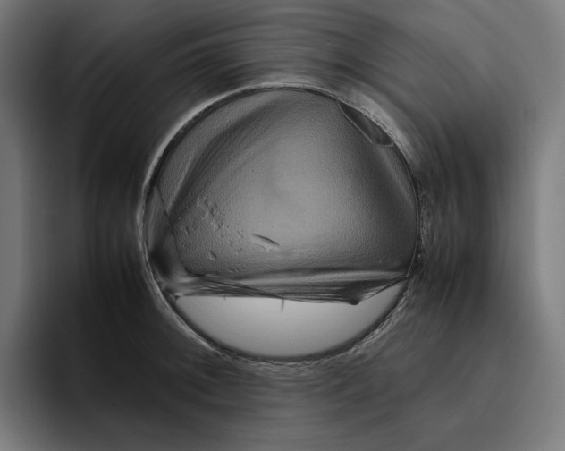 X0000094821092200712071241