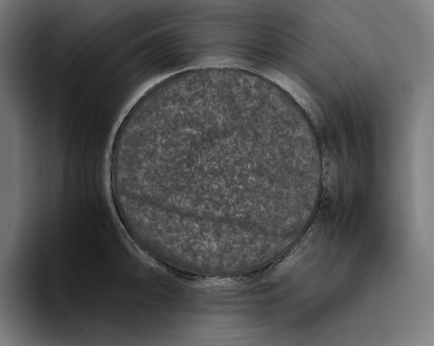 X0000094821094200712071241