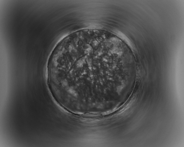 X0000094821095200712071241