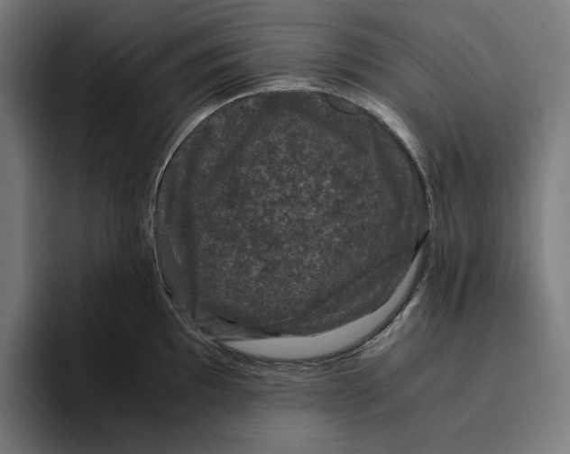 X0000094821097200712071241