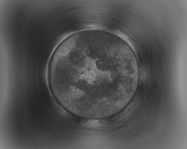 X0000094821098200712071241