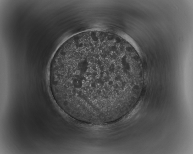 X0000094821099200712071241