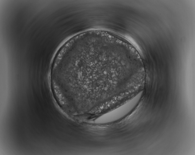 X0000094821100200712071241