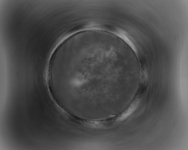 X0000094821101200712071241