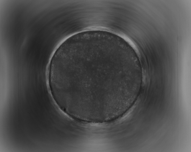 X0000094821102200712071241