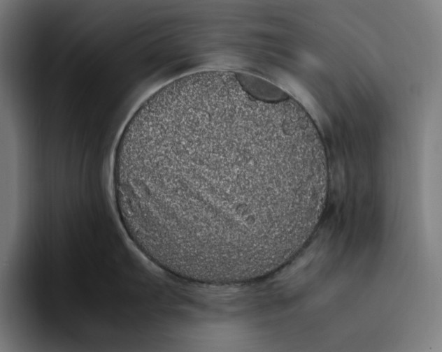 X0000094821103200712071241