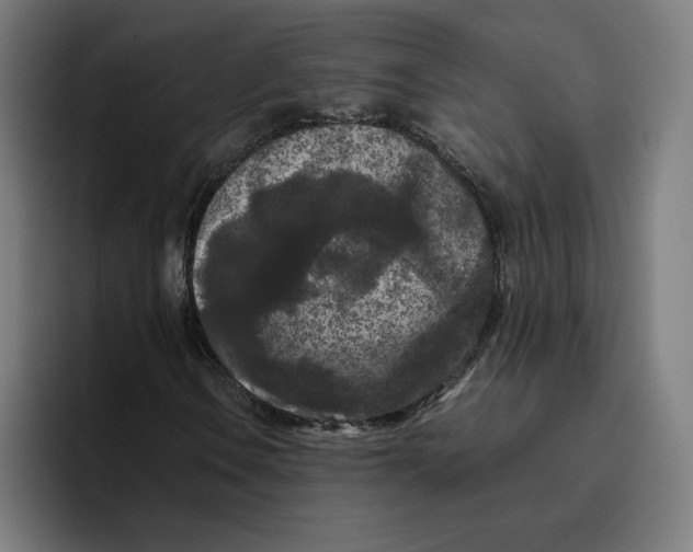 X0000094821106200712071240