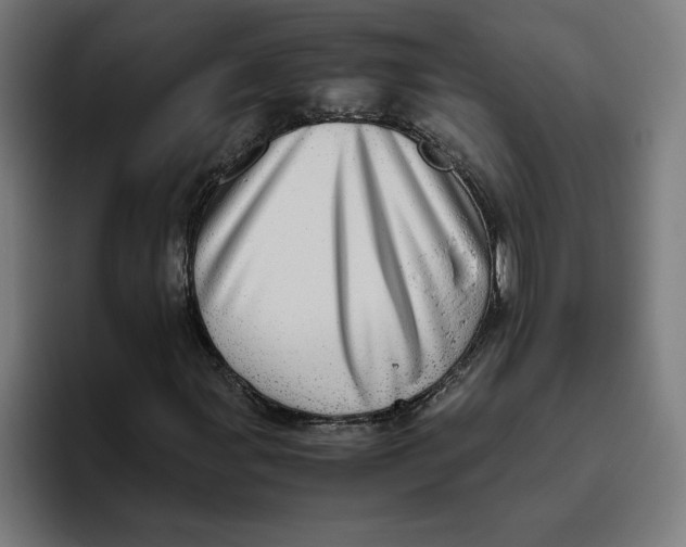 X0000094821107200712071240