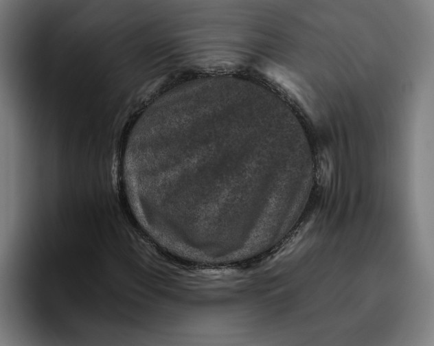 X0000094821108200712071240