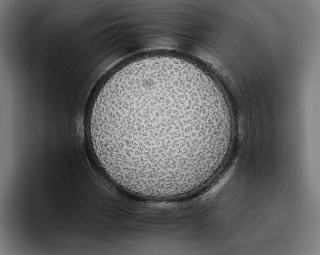 X0000094821113200712071240