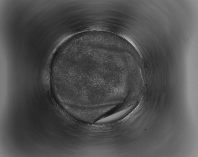 X0000094821115200712071240