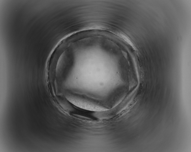 X0000094821116200712071240