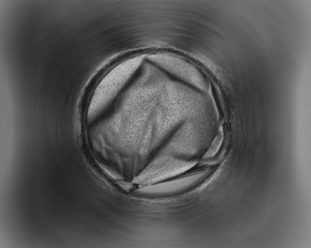 X0000094821118200712071240