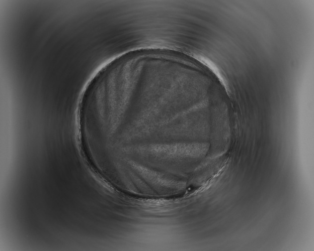 X0000094821120200712071240