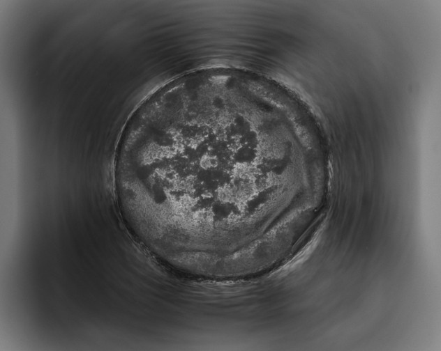 X0000094821121200712071240